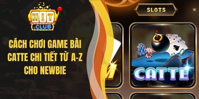 Cách Chơi Game Bài Catte Chi Tiết Từ A-Z Cho Newbie